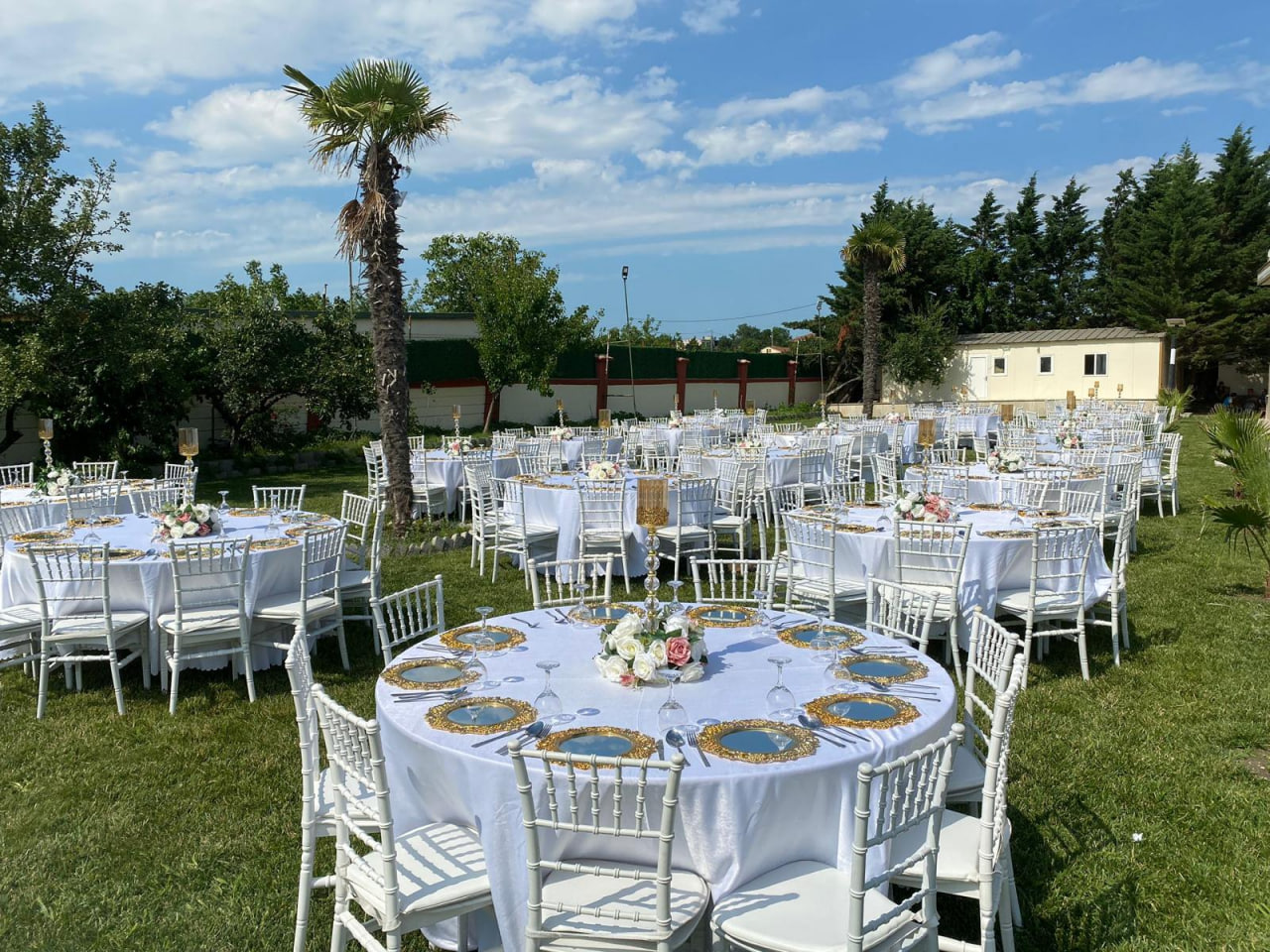 Tiffany Chair Rental | Tiffany Chair Rental Prices